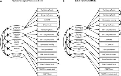 Evidence of Validity for a Newly Developed Digital Cognitive Test Battery